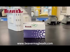 BeaverBeadsTM Mag NH2 Магнитные бусины видео разборка