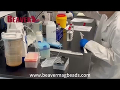 BEAVER Biomedical является исследовательским и разработчиком нано-биоматериалов в области поверхностных технологий