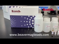 Набор РИБОНУКЛЕИНОВОЙ КИСЛОТЫ табуретки BeaverBeads извлекает нуклеиновую кисловочную превосходную стабильность