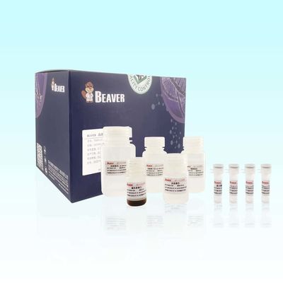 ДНК выдержки набора извлечения ДНК крови используемая для Sequencing и обнаружения
