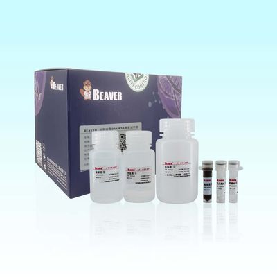 100 наборов РИБОНУКЛЕИНОВОЙ КИСЛОТЫ ДНК Rxns BeaverBeads животных вирусных для автоматизированного и высокого объема