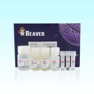 Особая чистота Rxns набора 20 ДНК ткани BeaverBeads для извлечения