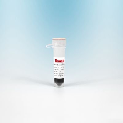 Шарики NHS 300 Nm 10 ML BeaverBeads магнитные для изоляции клетки с более высокой чувствительностью