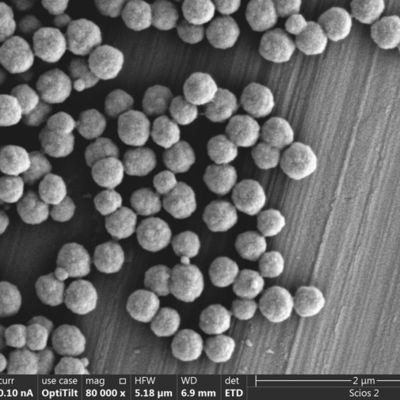 100 ML Streptavidin 300 Nm совмещают биологический нуклеиновый кисловочный зонд в гибридизации для быстро