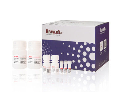 100 Rxns BeaverHead Animal Viral DNA RNA Kit для автоматизированной и высокой пропускной способности