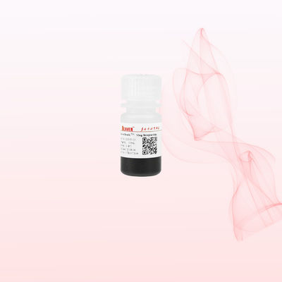Бобры 1μm/2μm/5μm/300nm/2.8μm/3μm Стрептавидин Магнитные бусы Химилюминесценционные бусы Ядерные зонды Бусы Реагентный сортировщик