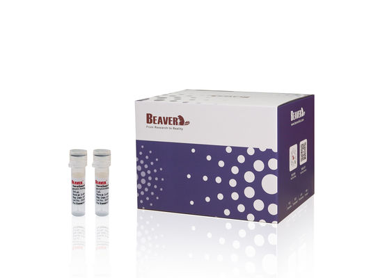 Кит на нуклеиновую кислоту BeaverBeadsTM PCR-реагент для очистки ДНК и удаления нечистоты из продуктов PCR