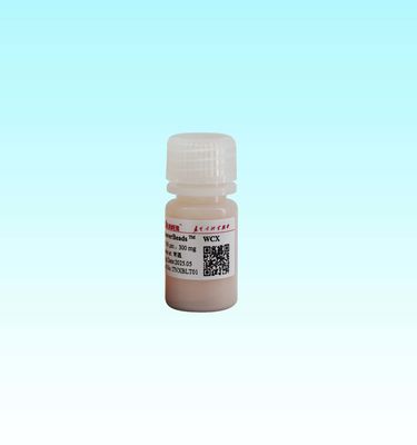 15-50μm Polymer Core WCX Magnetic Beads With Fe3O4 Magnetic Core And High Specific Surface Area Of 700-850 M2/g