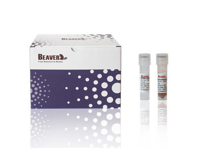Комплект изоляции клеток CD4 для мышей BeaverBeads сертифицирован CE для лабораторных исследований