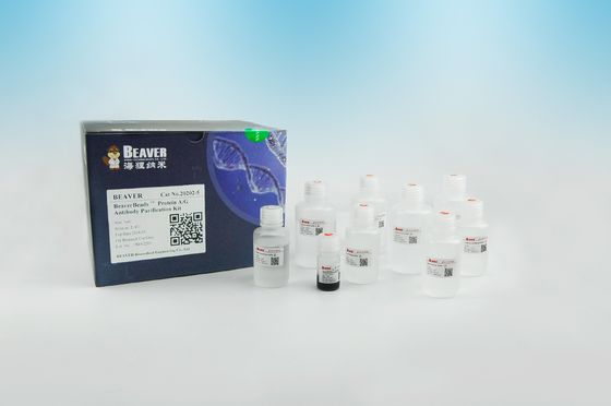 Очищение 2μm протеина шариков антитела протеина A/G магнитное 30 mg/mL 5 mL