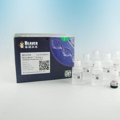Очищение 2μm протеина шариков антитела протеина a магнитное 30 mg/mL 5 mL
