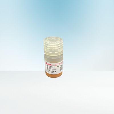 10-30μm Agrose Streptavidin магнитное отбортовывает 20% для Biotinylated IgG 5 mL
