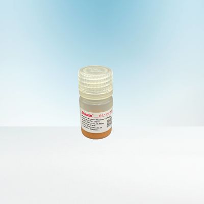 Агароза карбоксильное Magbeads 10 очищения протеина до 30 коэффициент тома μM 20%